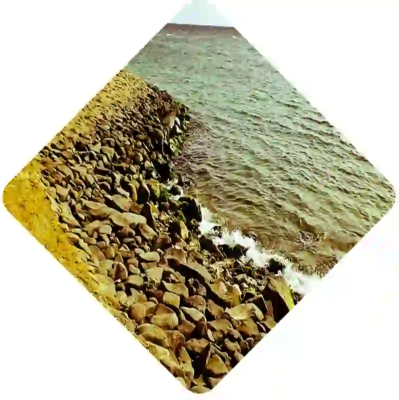 recruitment agency in Al Shatie (Beachfront)