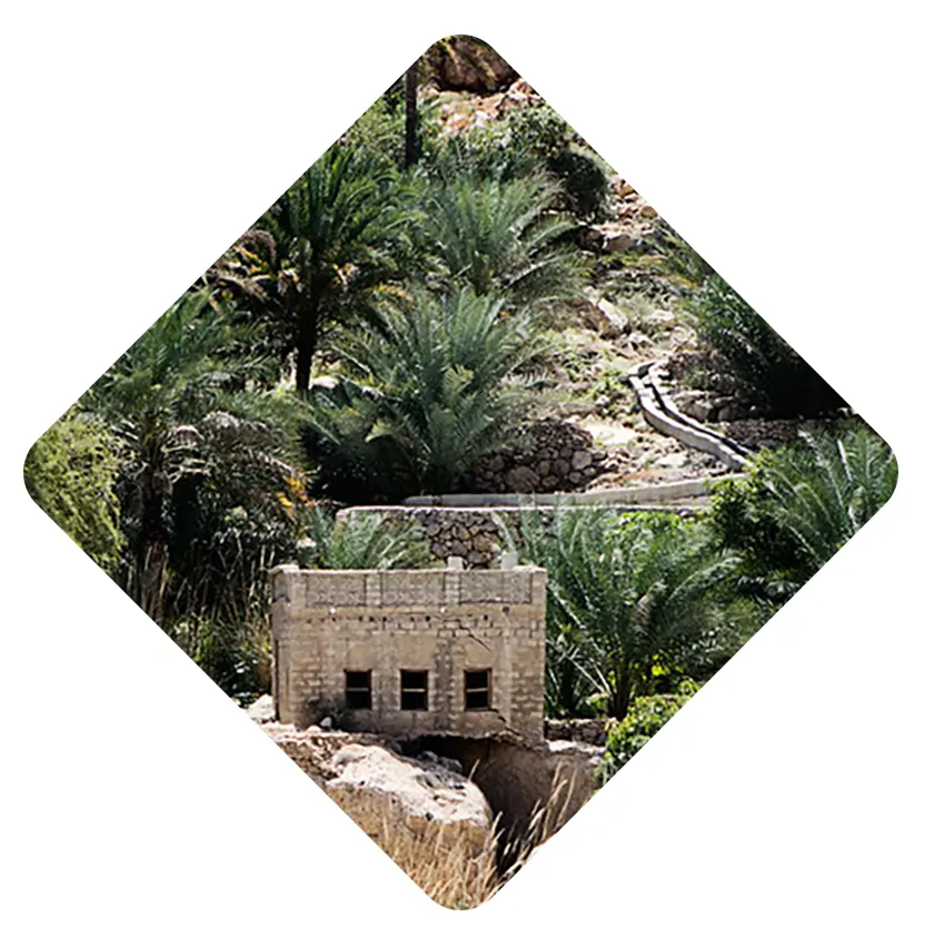 Recruitment Agency in Al-Aflaj