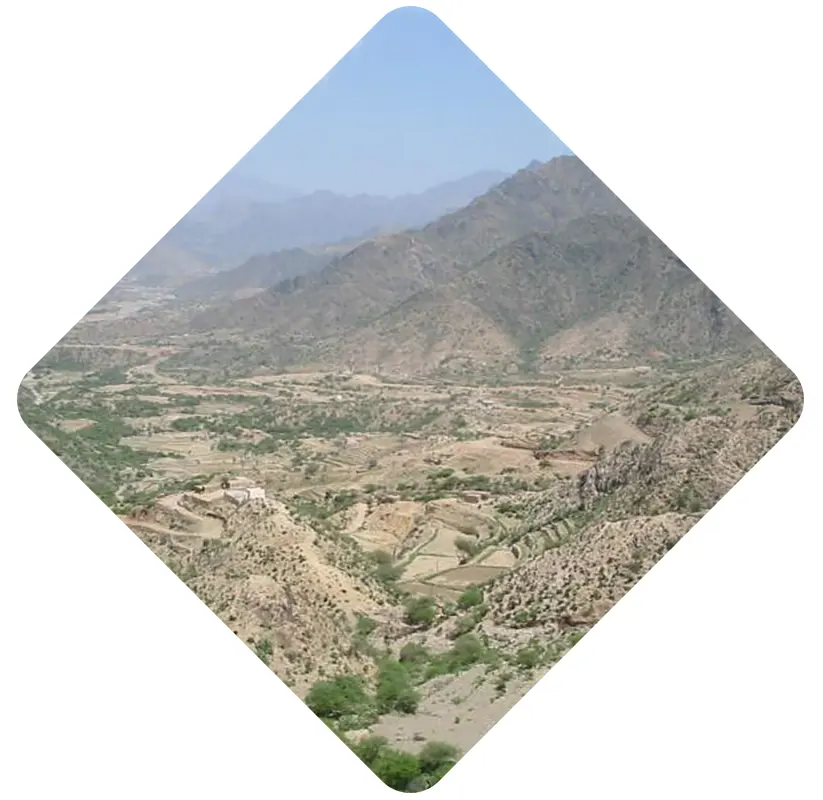 Recruitment Agency in Al-Tahama