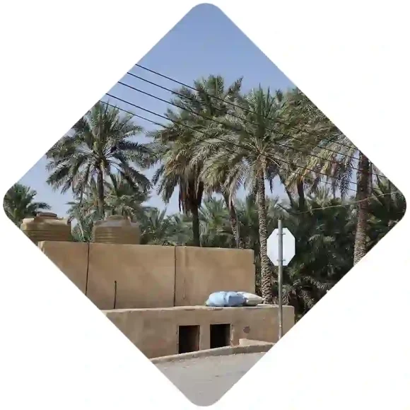 Al-Hamra taif (1) Al-Hamra taif (1)